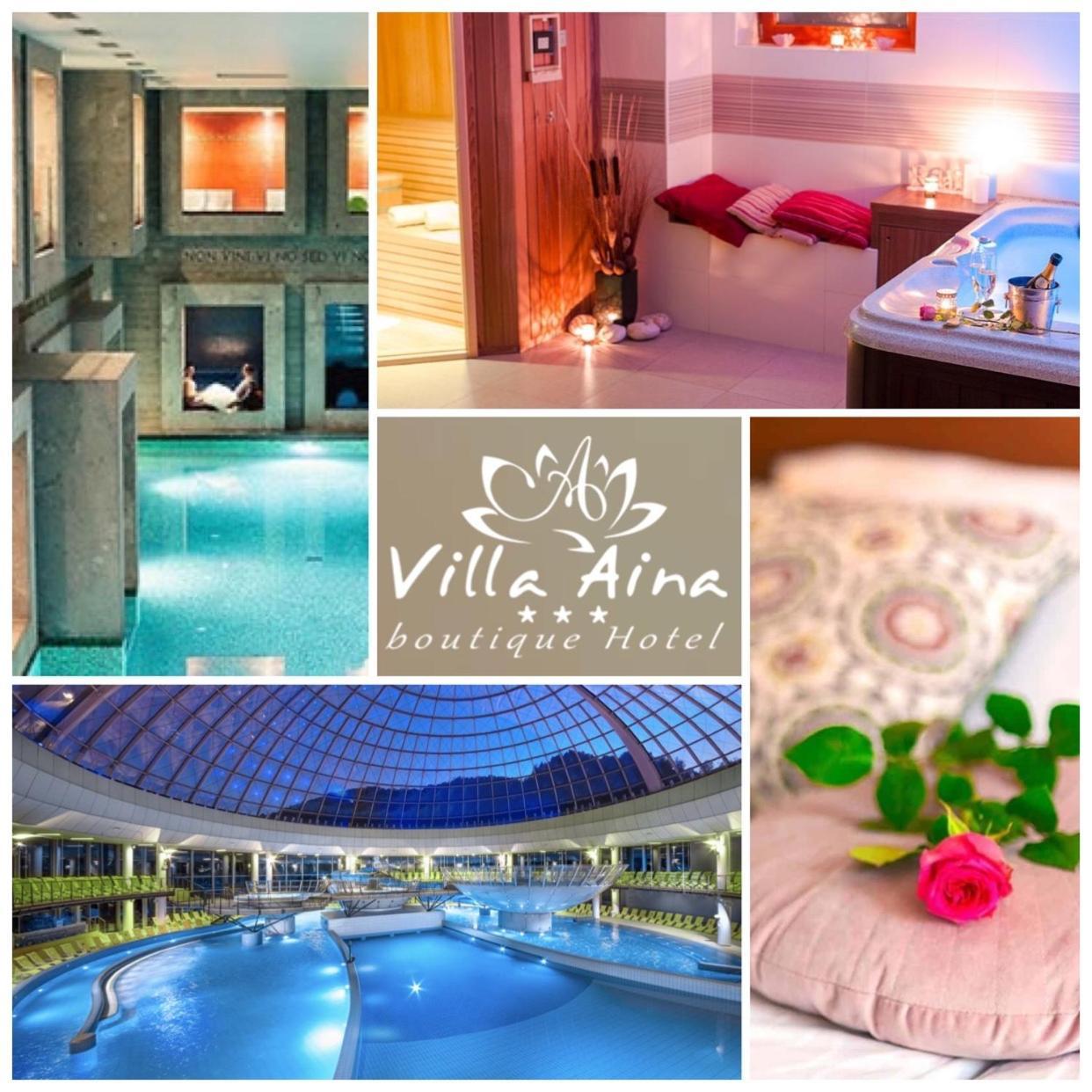 Villa Aina Boutique Hotel Laško Екстериор снимка