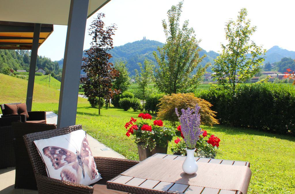 Villa Aina Boutique Hotel Laško Екстериор снимка